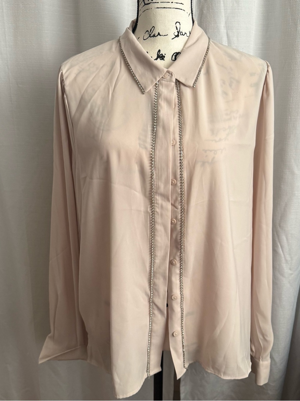 Blush Chain-Trim Long-Sleeve Button Front Blouse